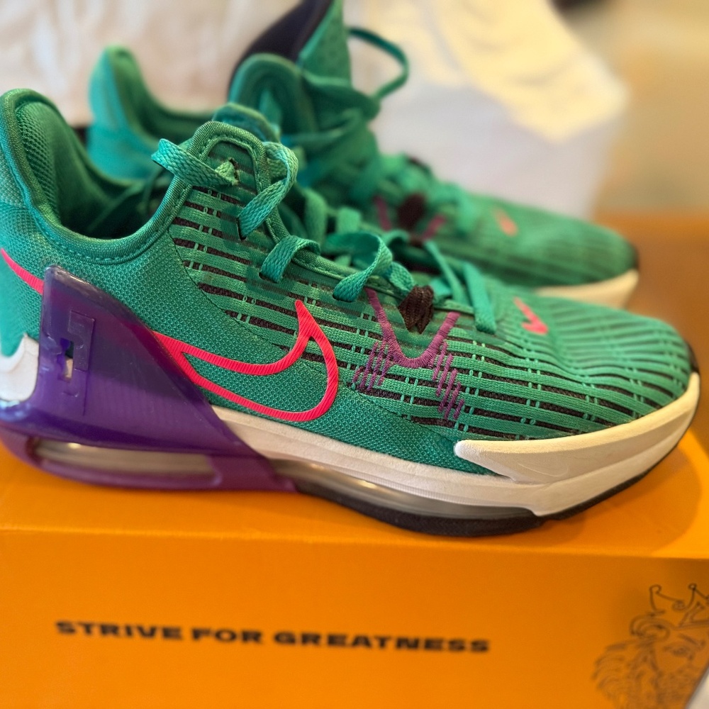LeBron witness VI